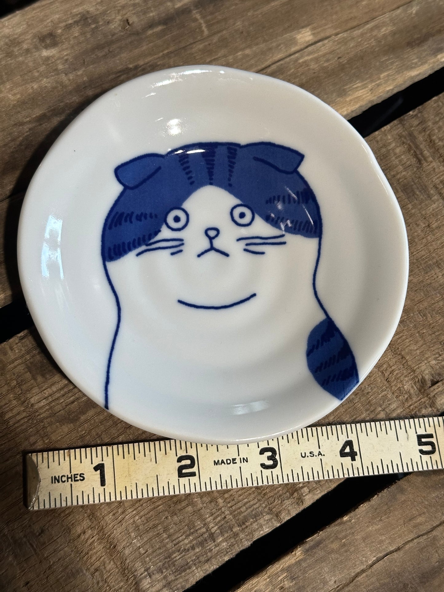 Fridge Dish Magnet
