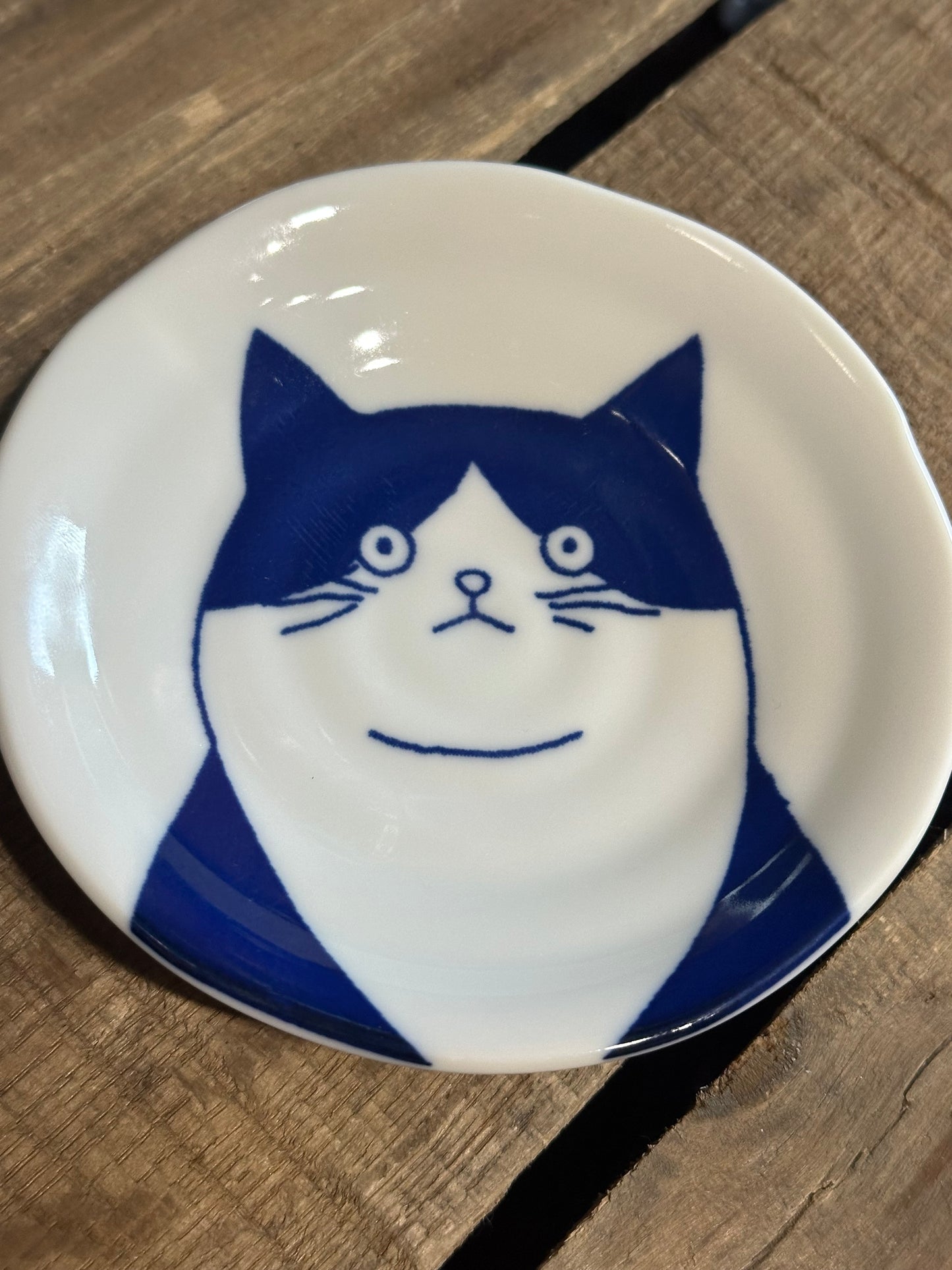 Fridge Dish Magnet