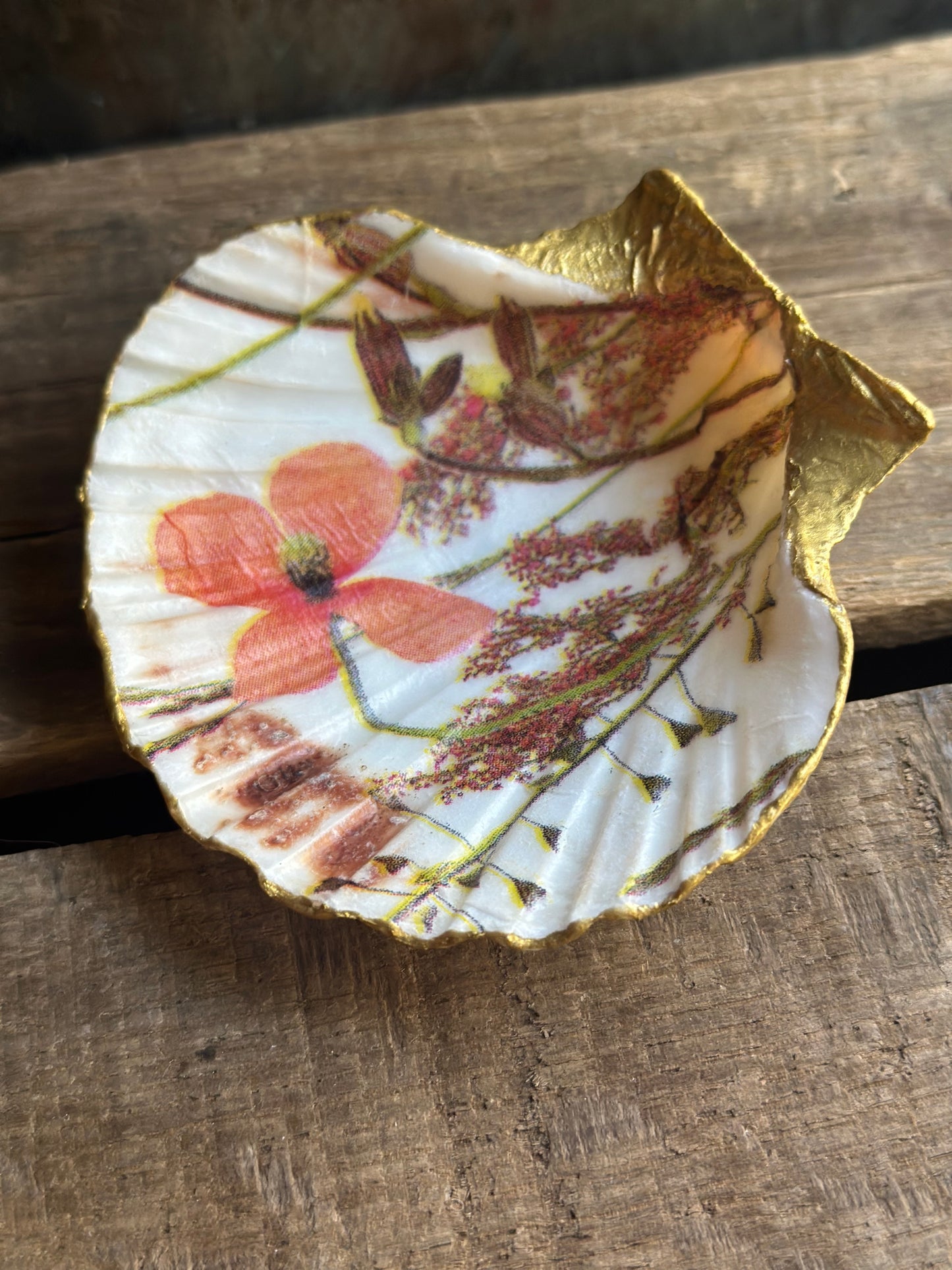 Sea Shell Dish