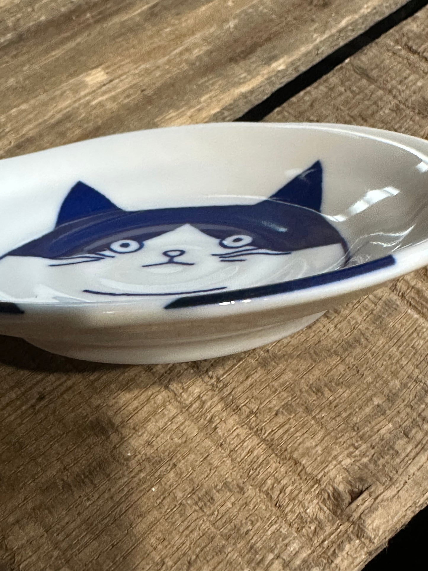 Fridge Dish Magnet
