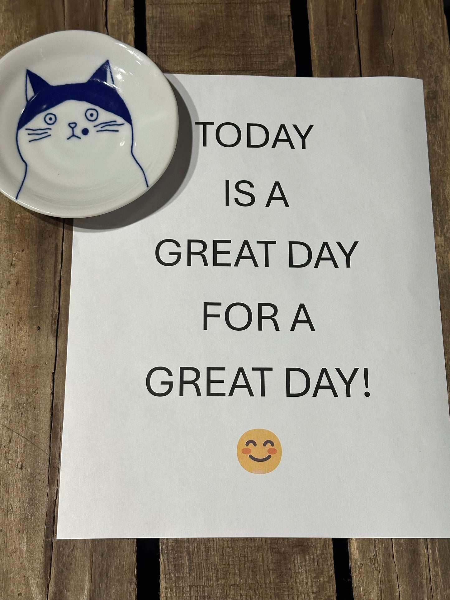 Fridge Dish Magnet
