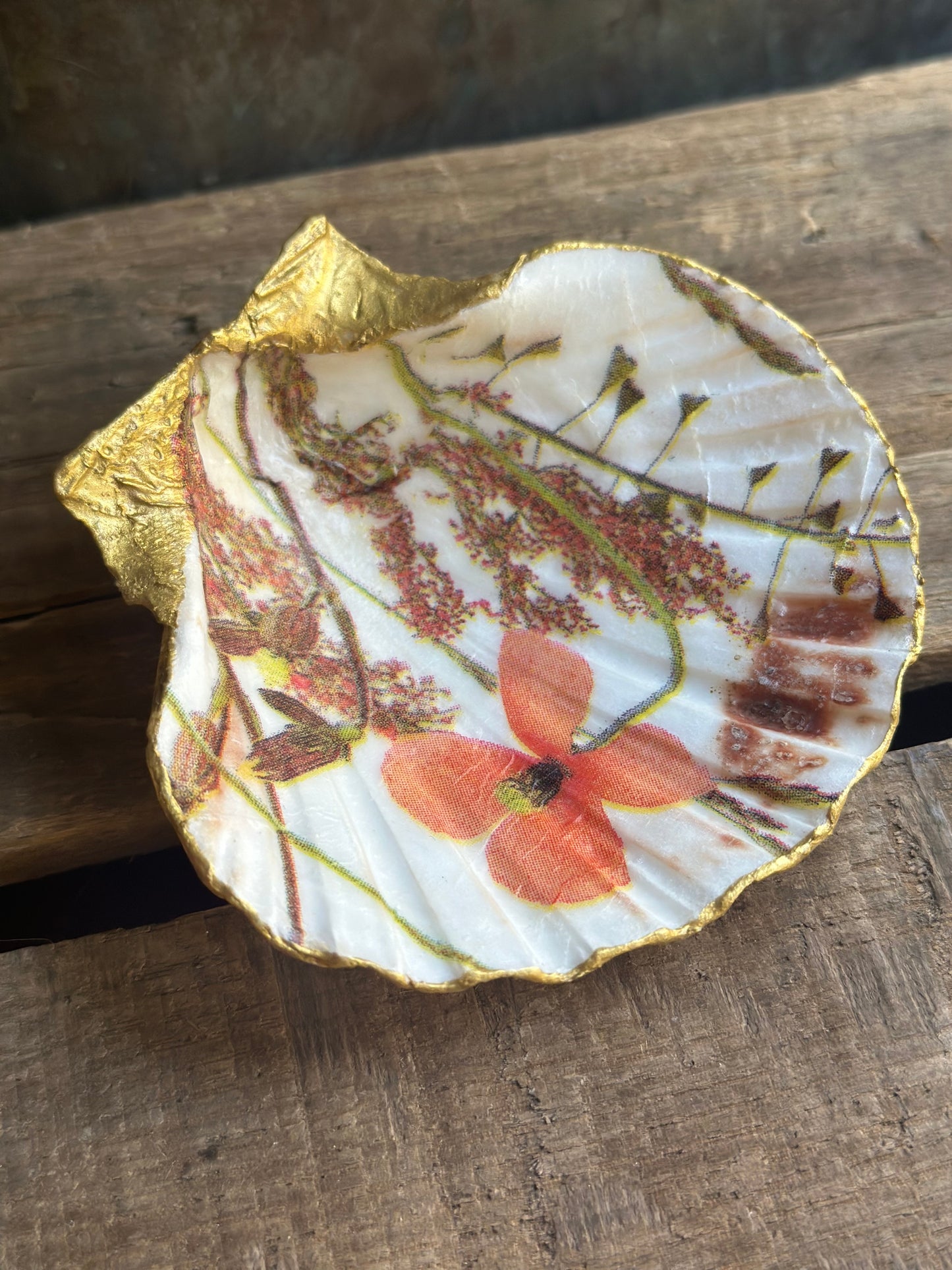 Sea Shell Dish