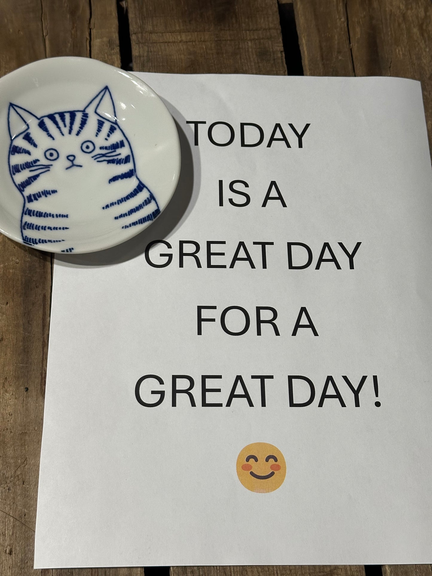 Fridge Dish Magnet
