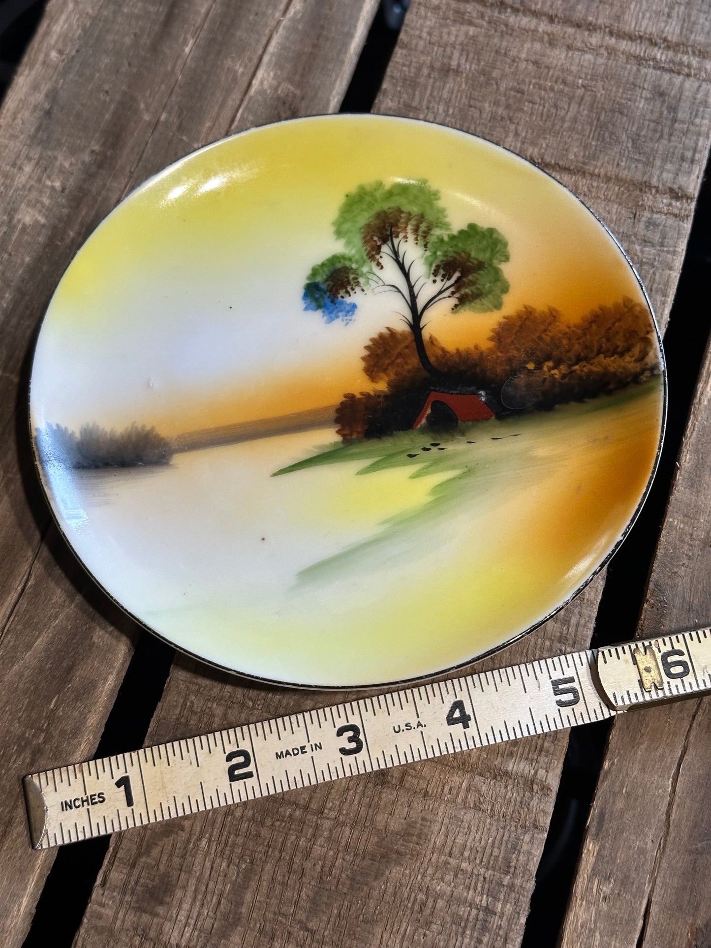 Fridge Dish Magnet