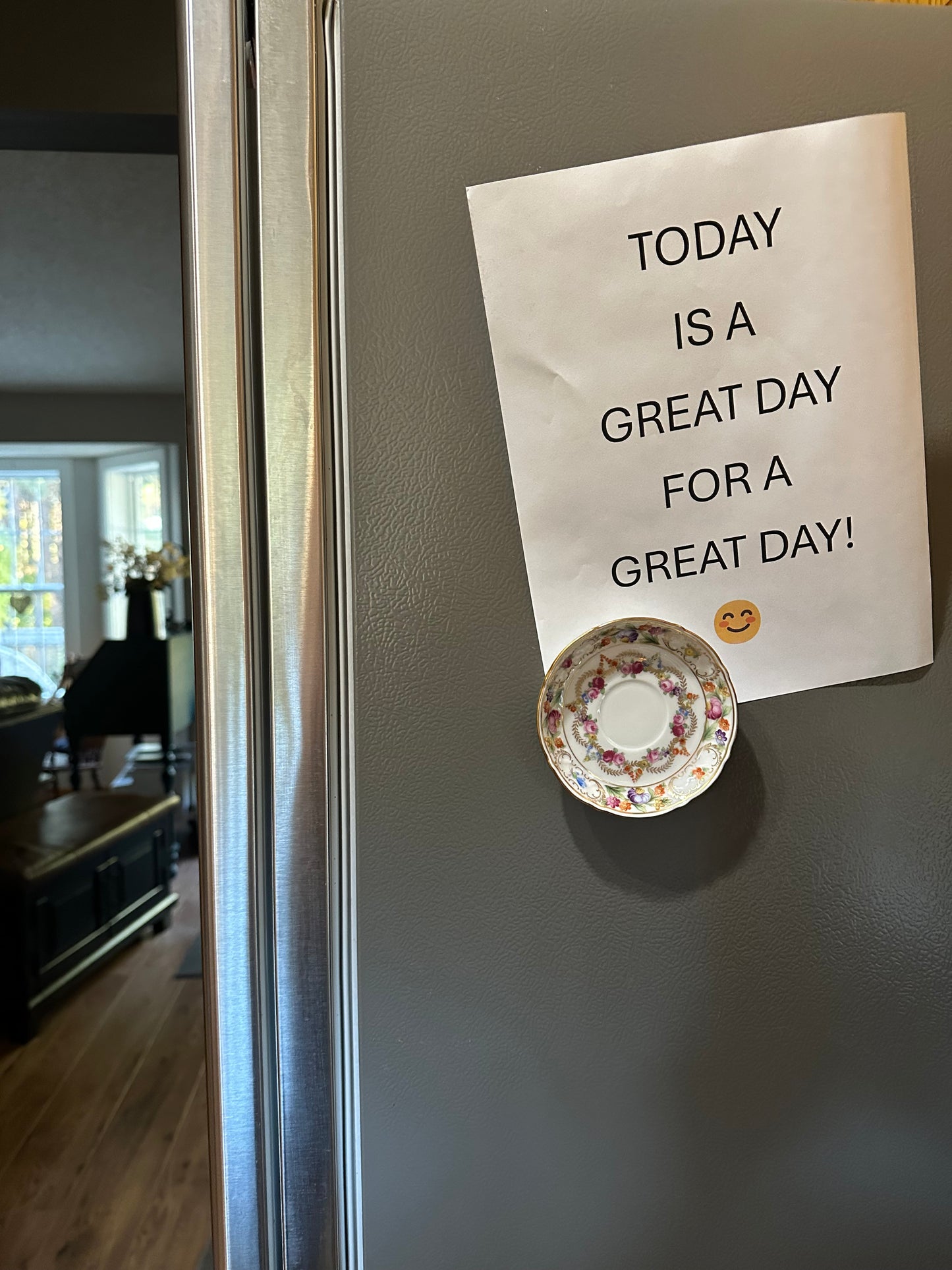 Fridge Dish Magnet