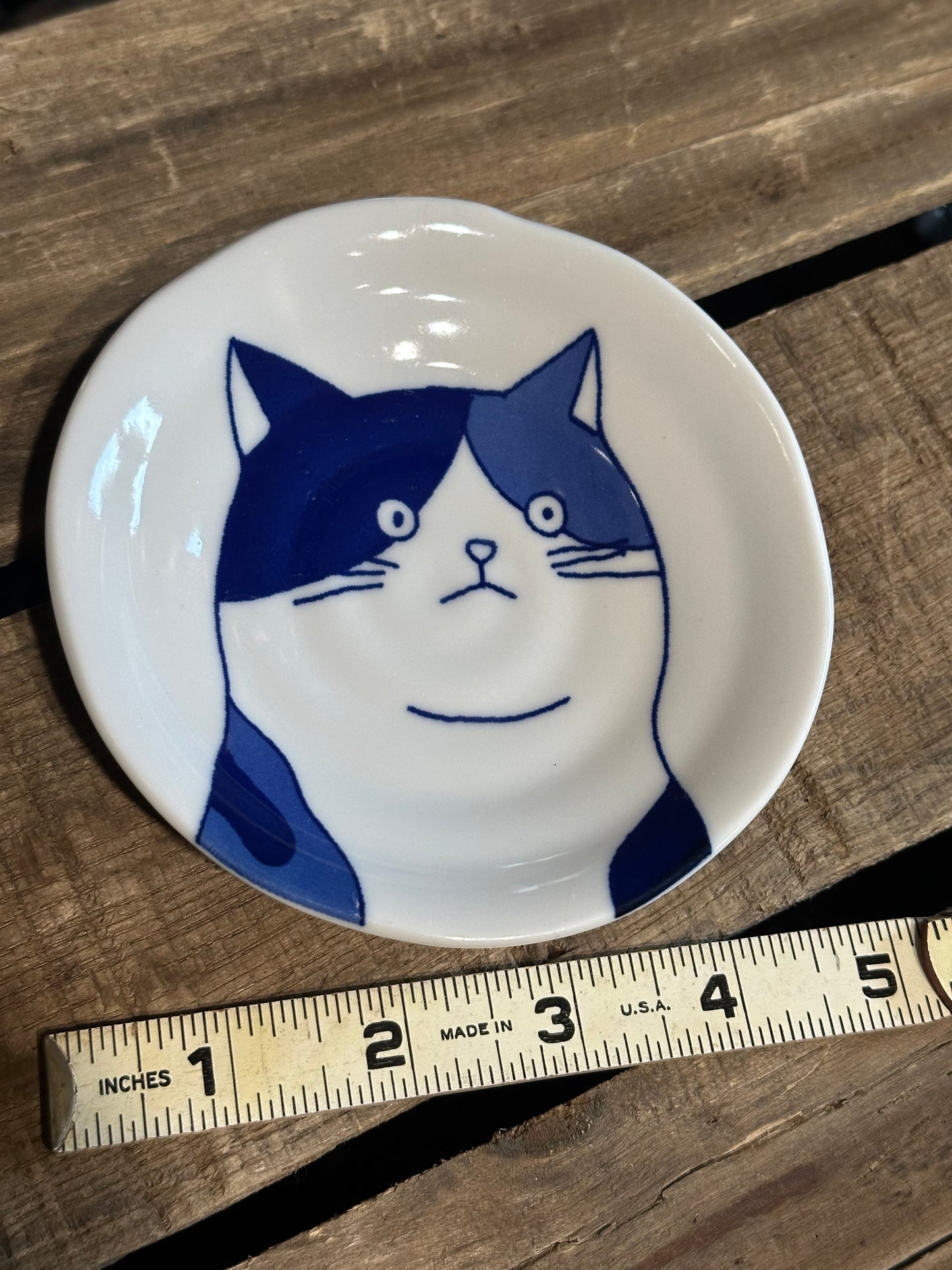 Fridge Dish Magnet