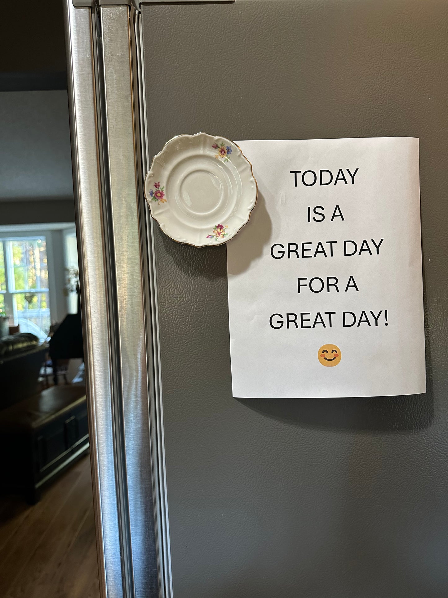 Fridge Dish Magnet