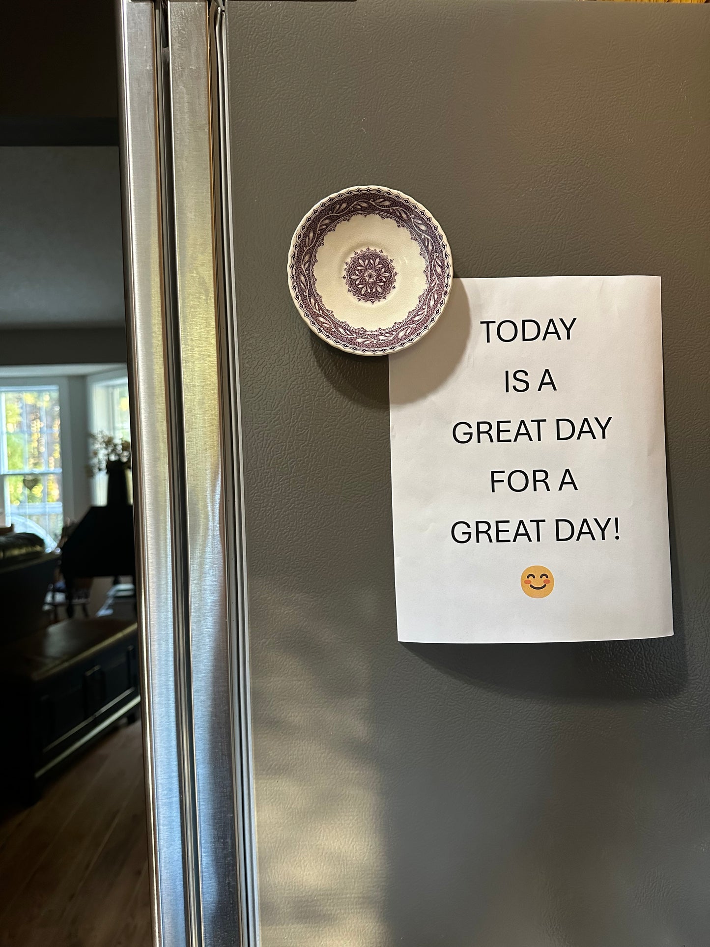Fridge Dish Magnet