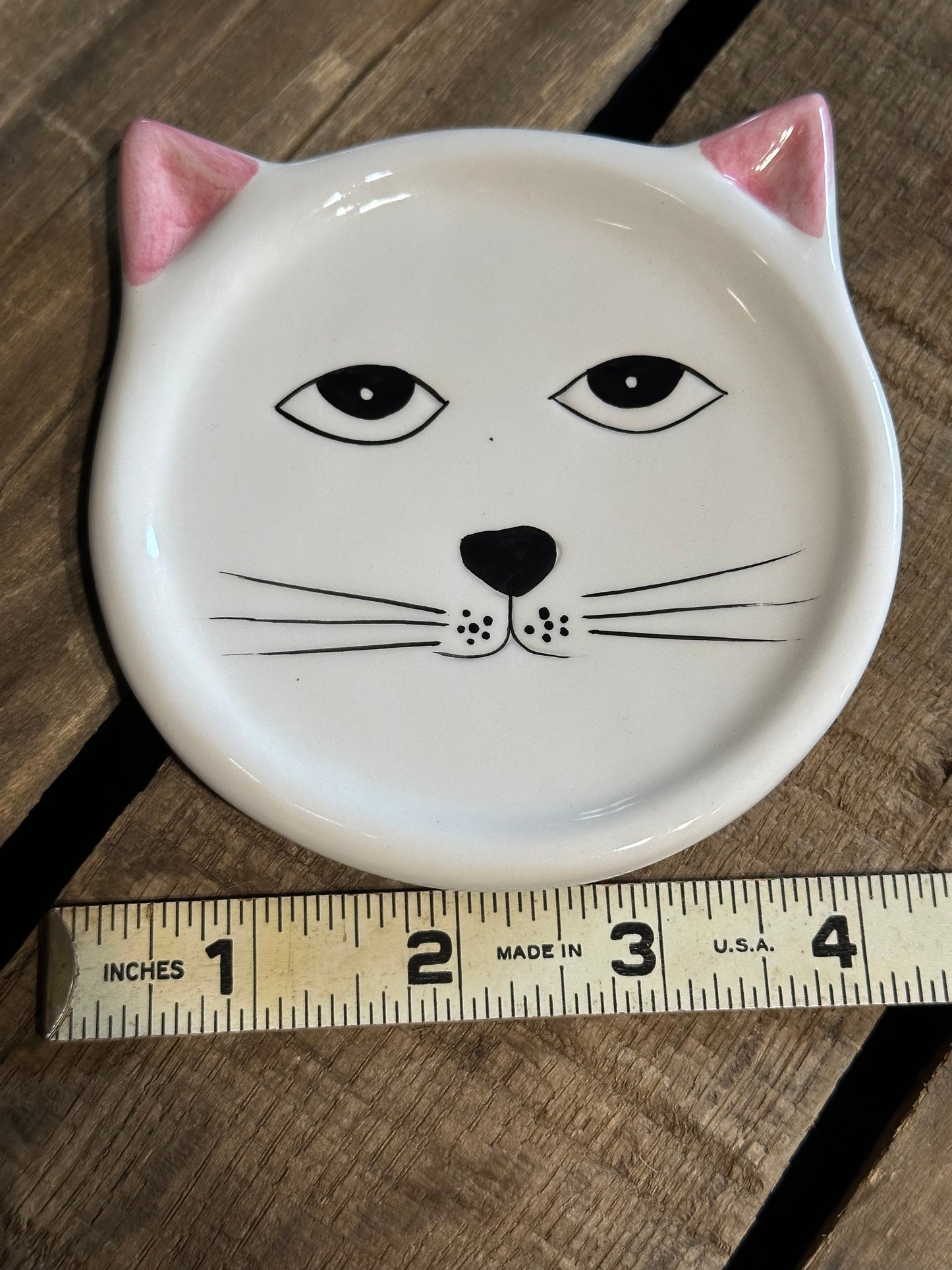 Fridge Dish Magnet