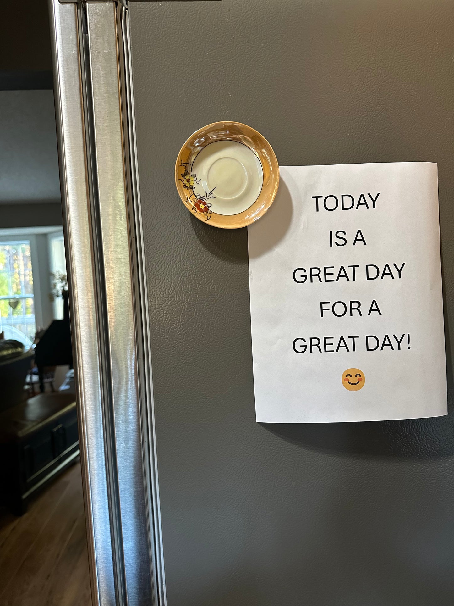 Fridge Dish Magnet