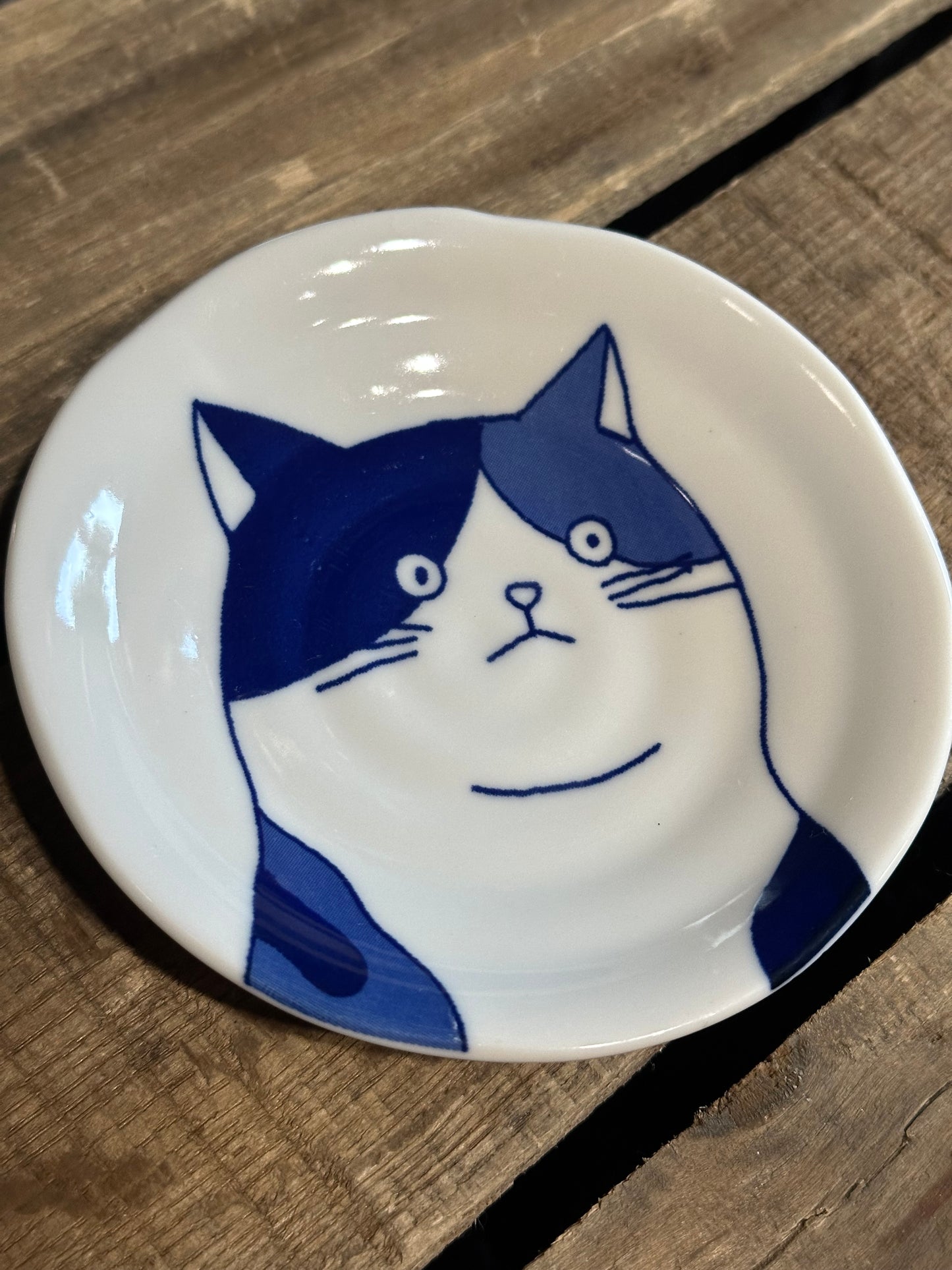 Fridge Dish Magnet