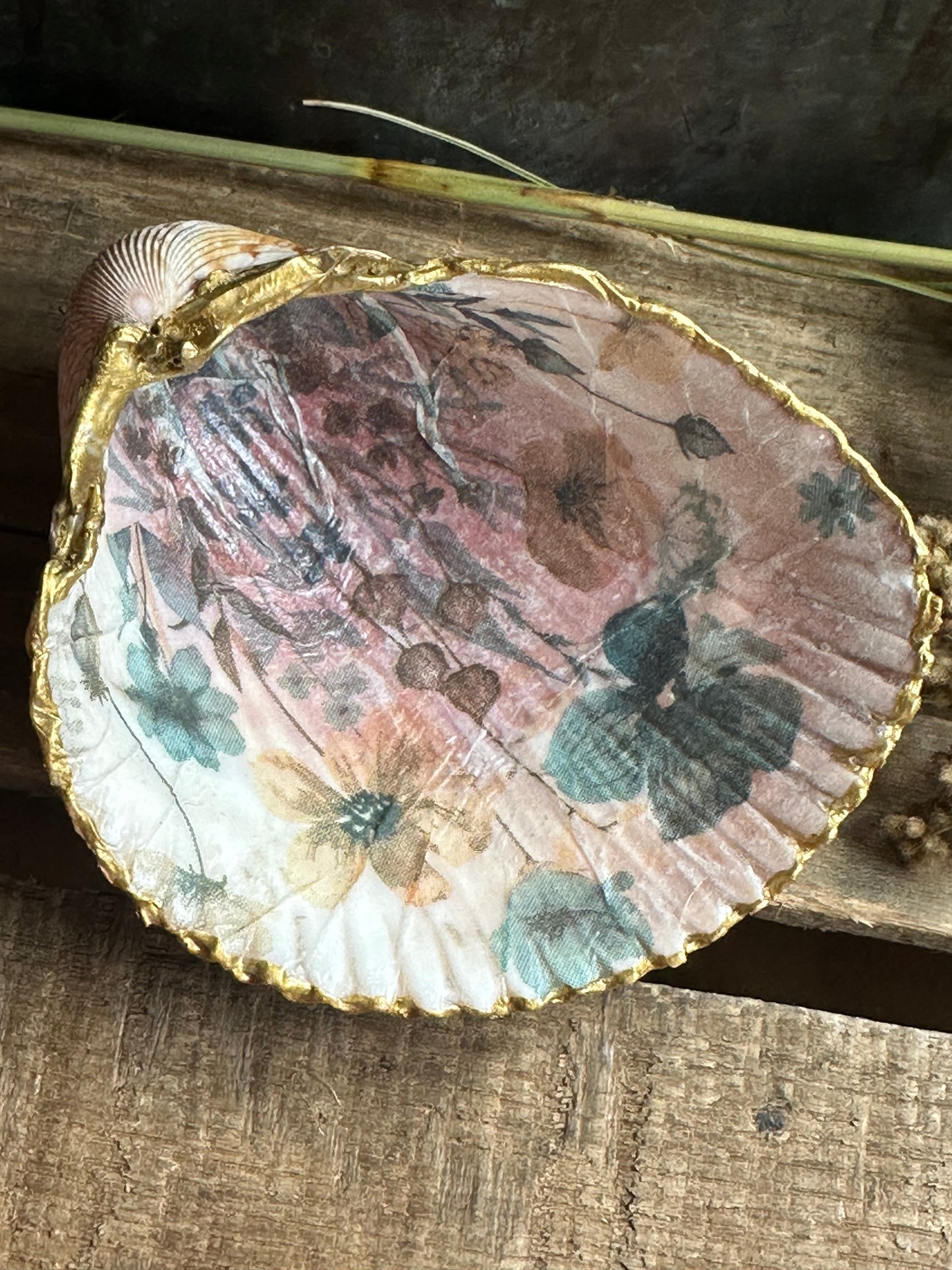 Sea Shell Dish