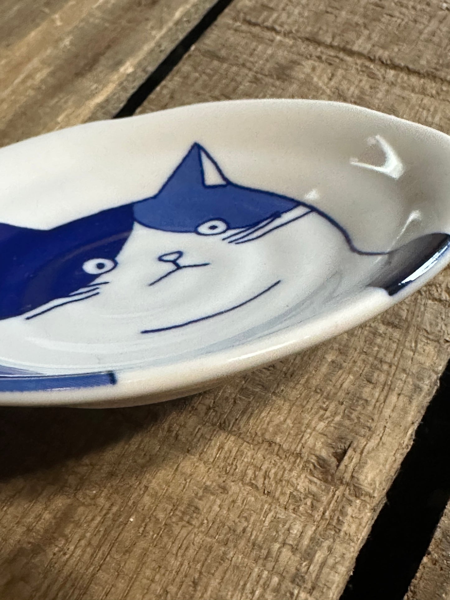 Fridge Dish Magnet