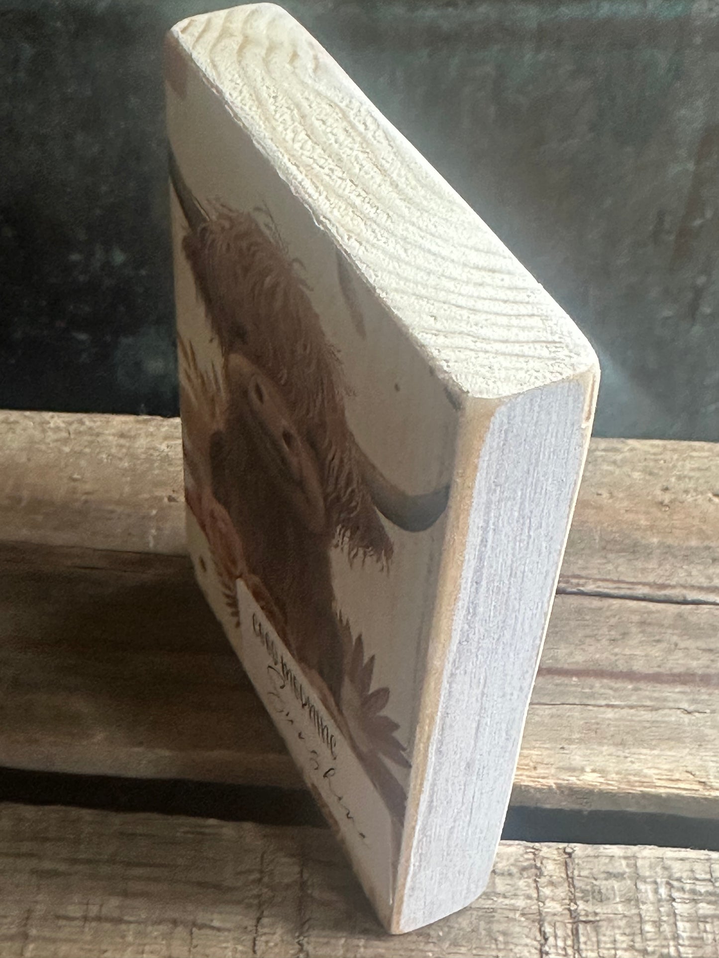 Highland Cow Shelf Sitter (lower)