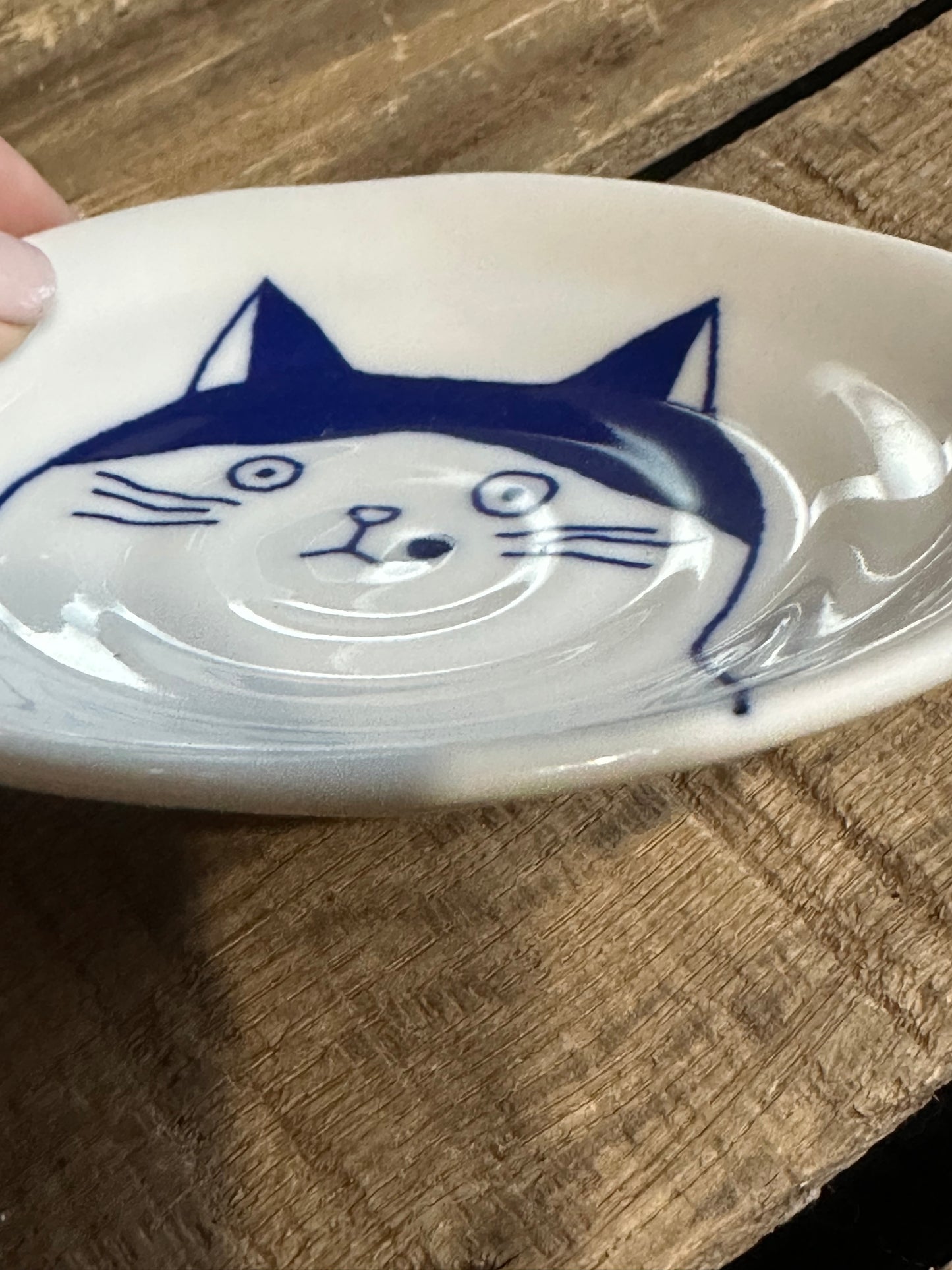 Fridge Dish Magnet