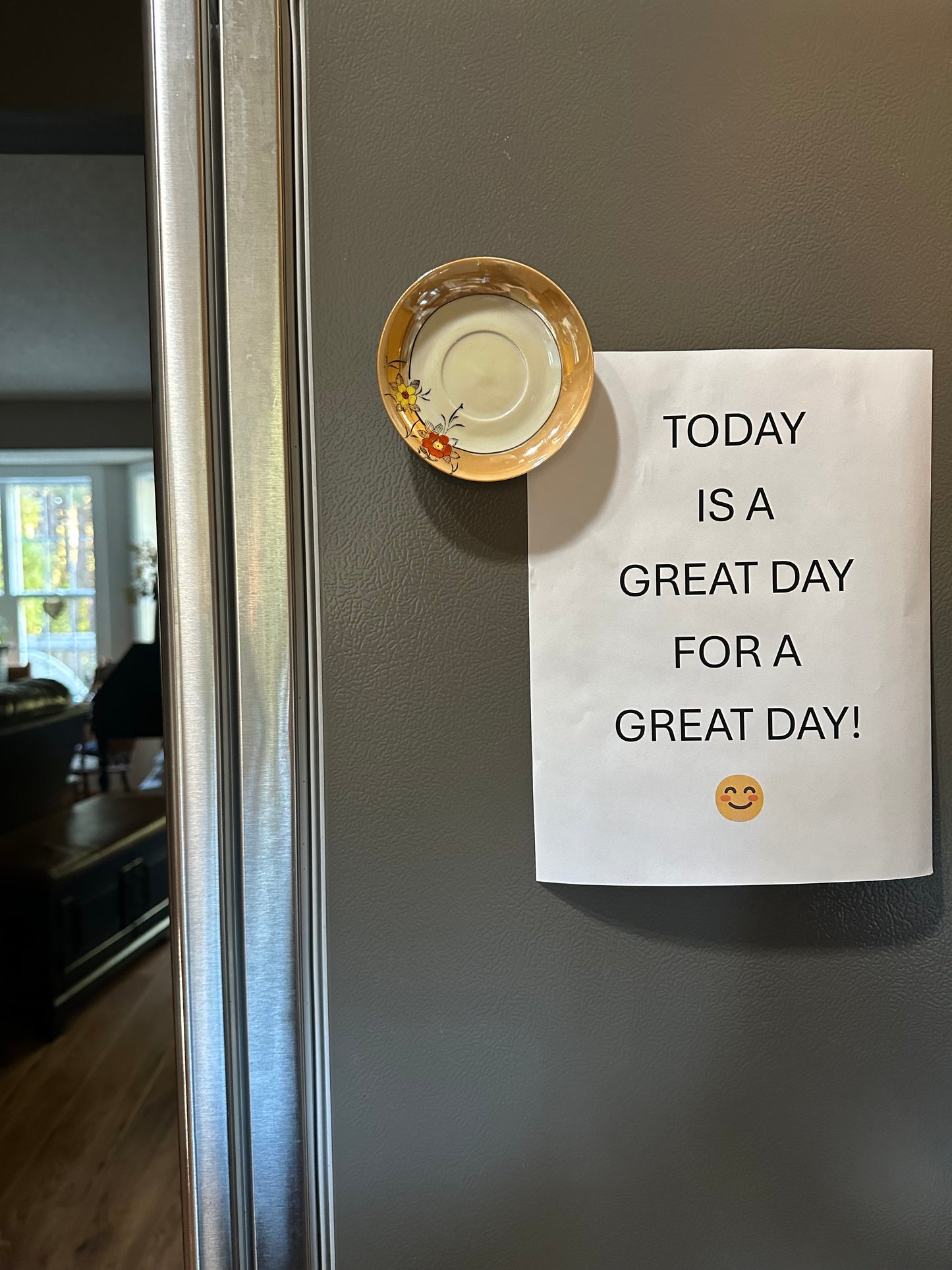 Fridge Dish Magnet
