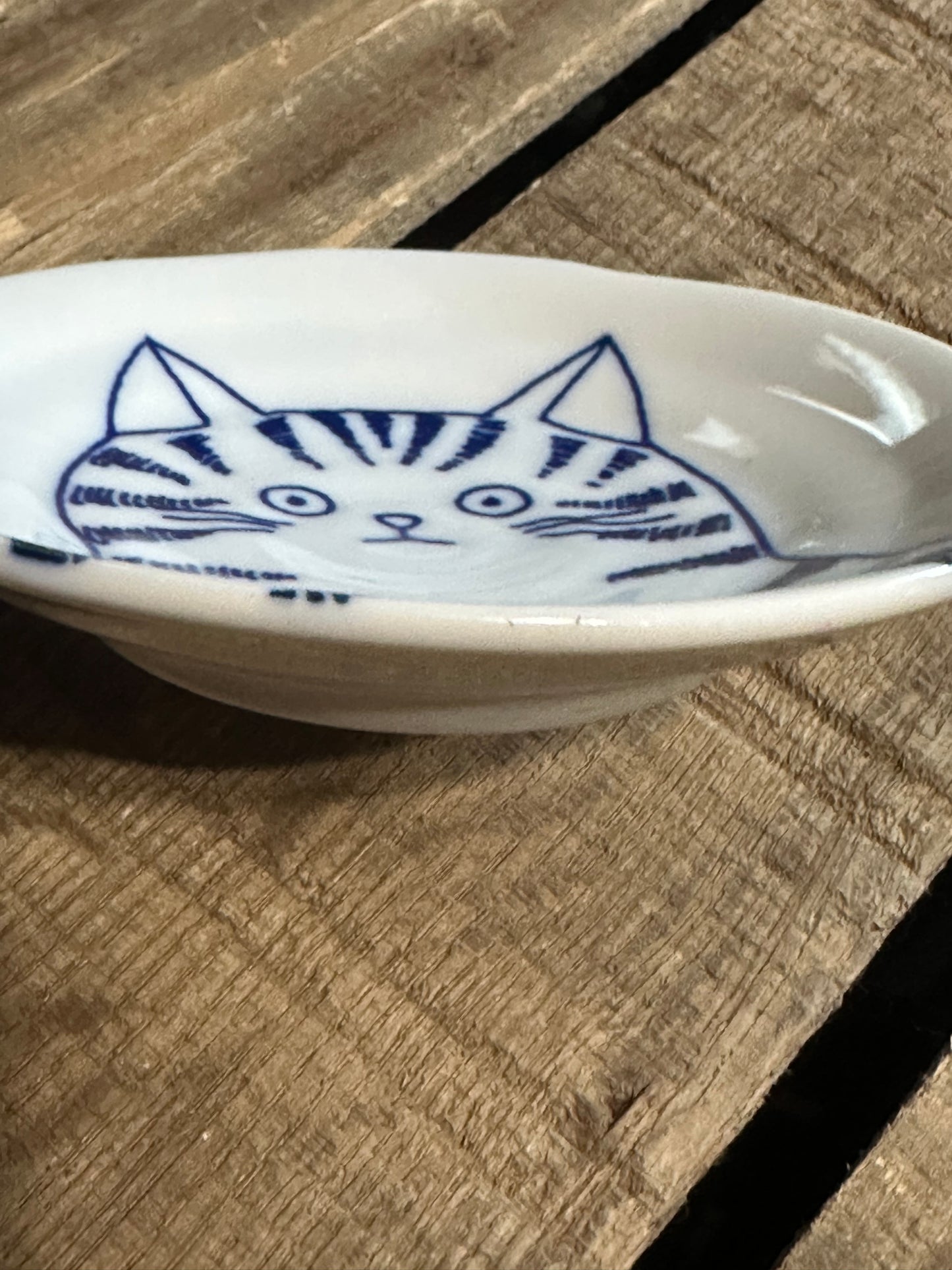 Fridge Dish Magnet
