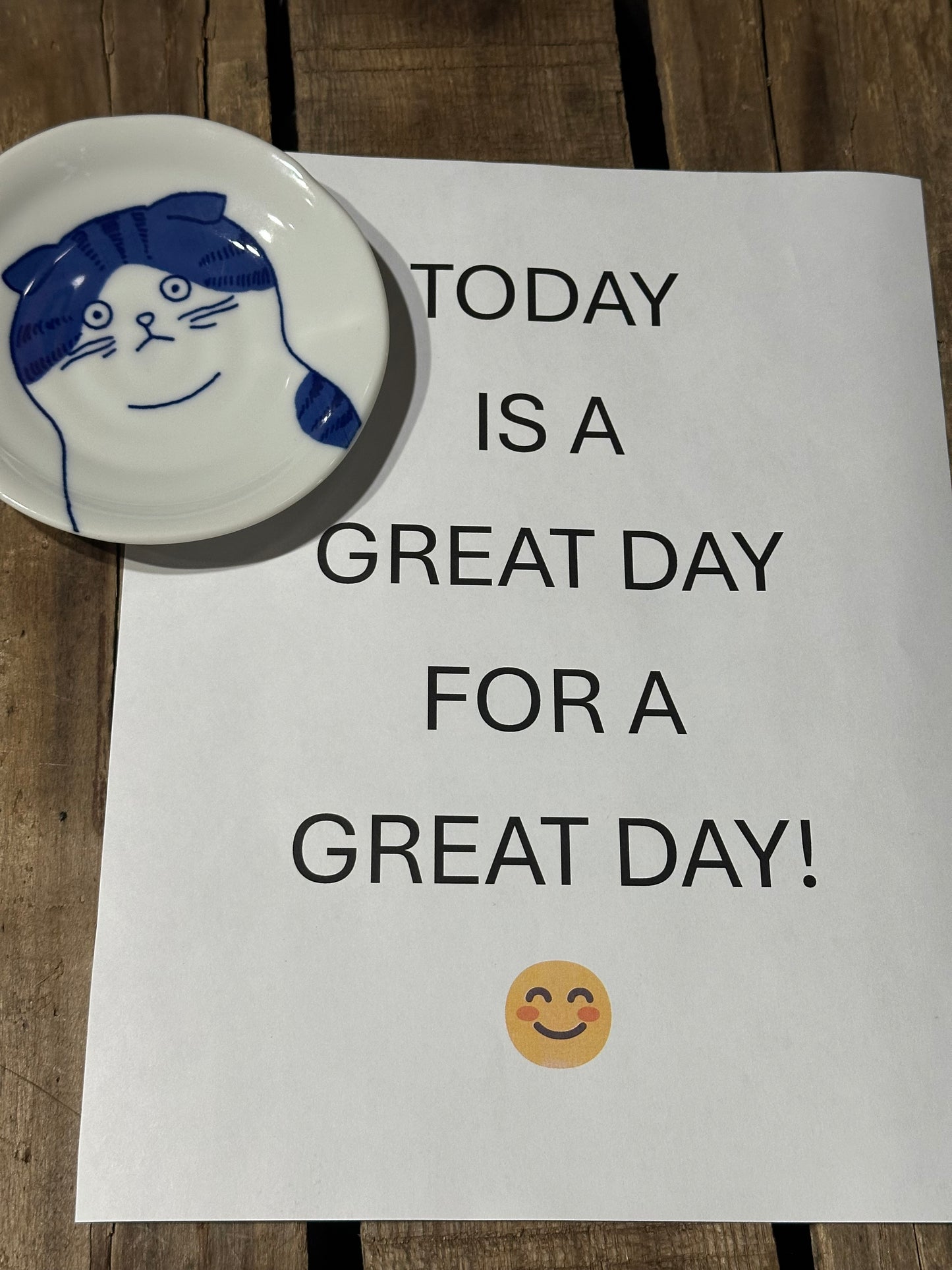 Fridge Dish Magnet