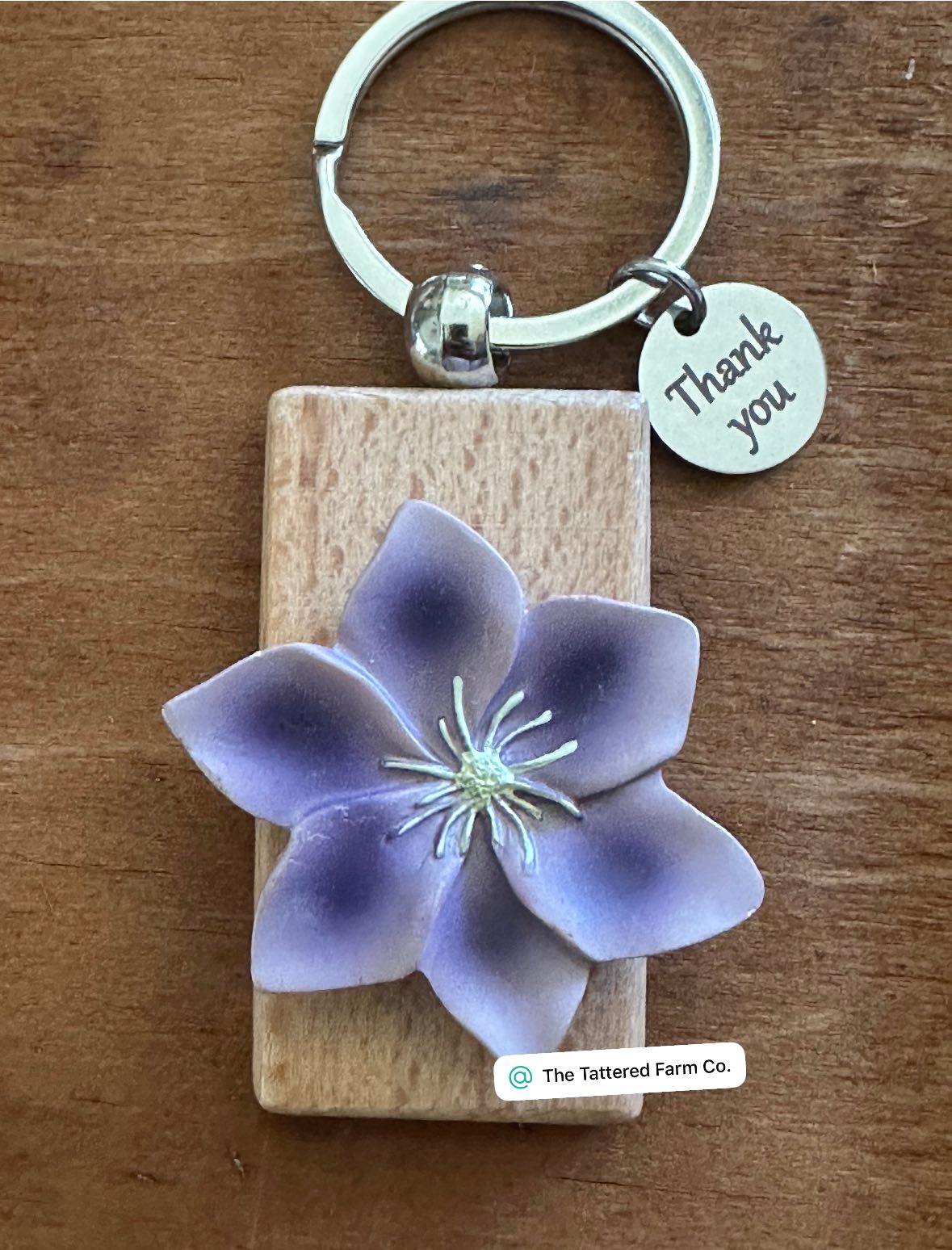 Key Chain + Clips