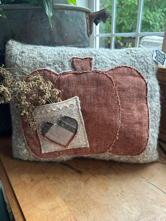Velvet pumpkin wool pillow