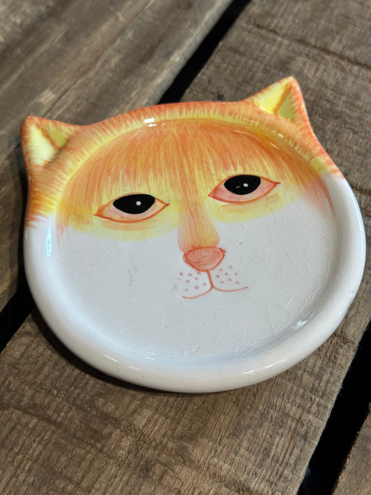 Fridge Dish Magnet