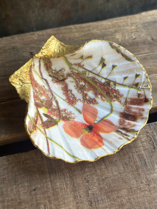 Sea Shell Dish