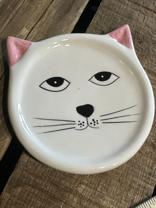 Fridge Dish Magnet