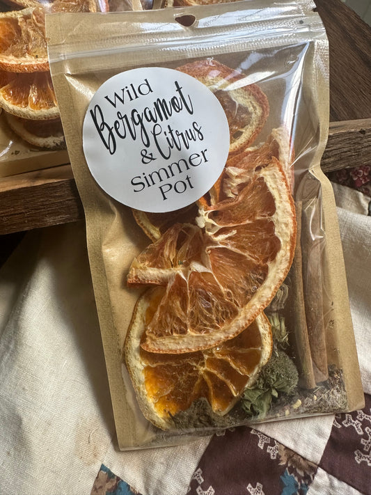 Cozy Simmer Pot Pack: pack of FIVE (5) Wild Bergamot + Citrus
