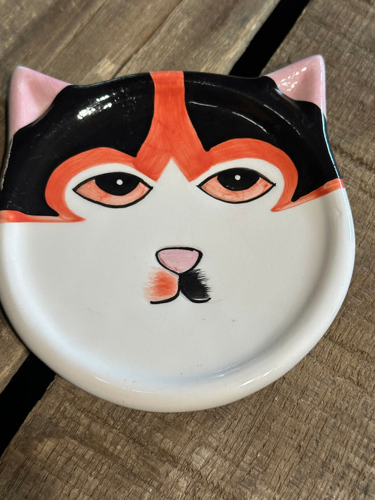 Fridge Dish Magnet