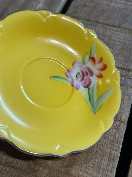 Fridge Dish Magnet