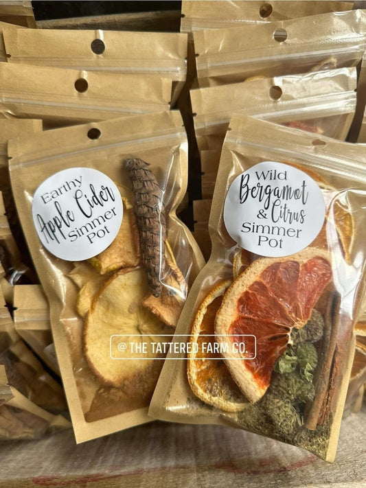 Cozy Simmer Pot Pack: VARIETY PACK of (6)